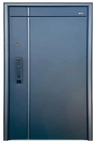 Opción de puerta 1